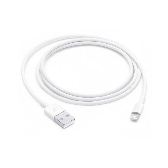 iPhone Lighting to USB A cable Apple